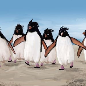 pinguïns on the run