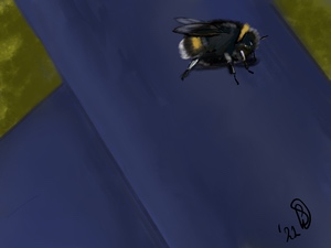 De Blauwe Kamer - na de storm