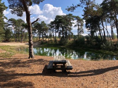 Foto: vennetje Wekeromse Zand