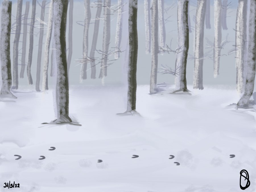 Elke dag even op pad