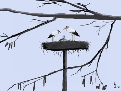 Rondwandeling station Vleuten - Haarzuilens