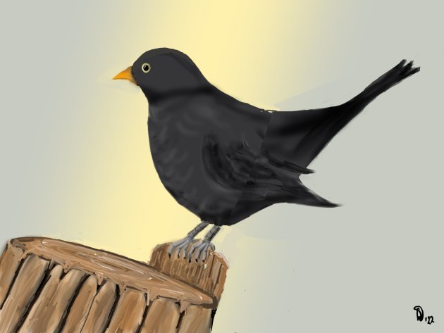 Wekker