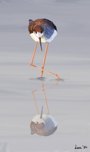 Getij