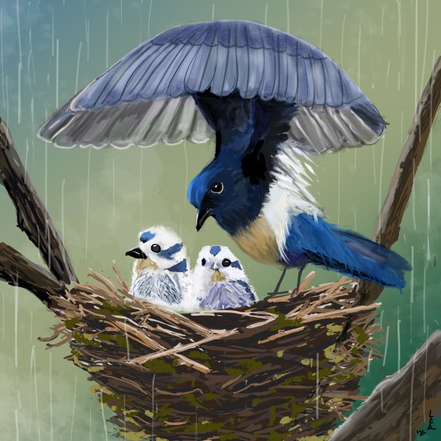 Droog
