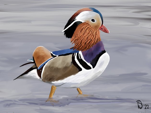 Eendjes voeren